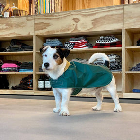 Manteau de pluie extérieur pour chien imperméable léger avec Velcro élégant