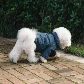 Manteau pour chien en fausse fourrure chaude et confortable avec boutons-pression