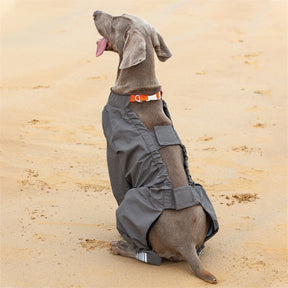 Imperméable pour chien à quatre pattes avec capuche à motif réfléchissant