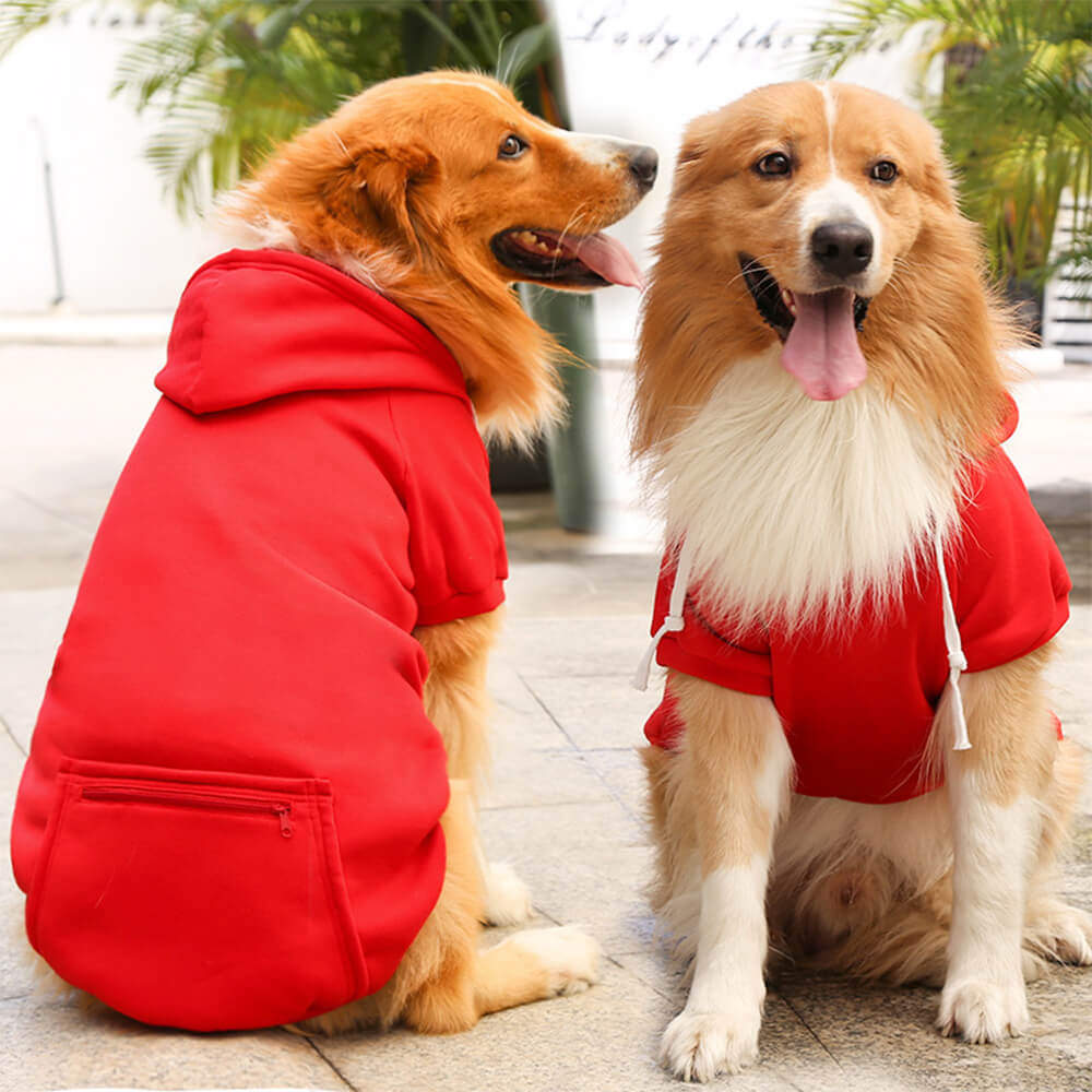 Pull à Capuche Uni pour Chien et Propriétaire en Coordination