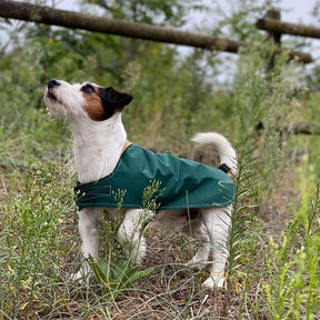 Manteau de pluie extérieur pour chien imperméable léger avec Velcro élégant