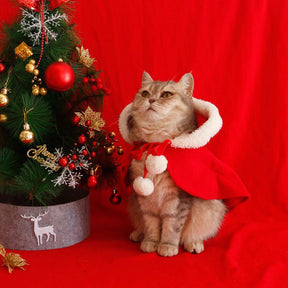 Poncho châle à capuche chic et chaud pour chien et chat de Noël