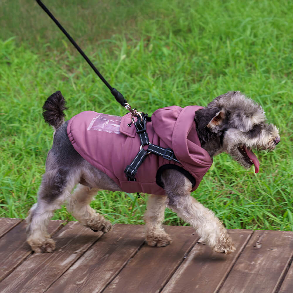 Veste harnais pour chien ajustable confortable et isolée avec capuche