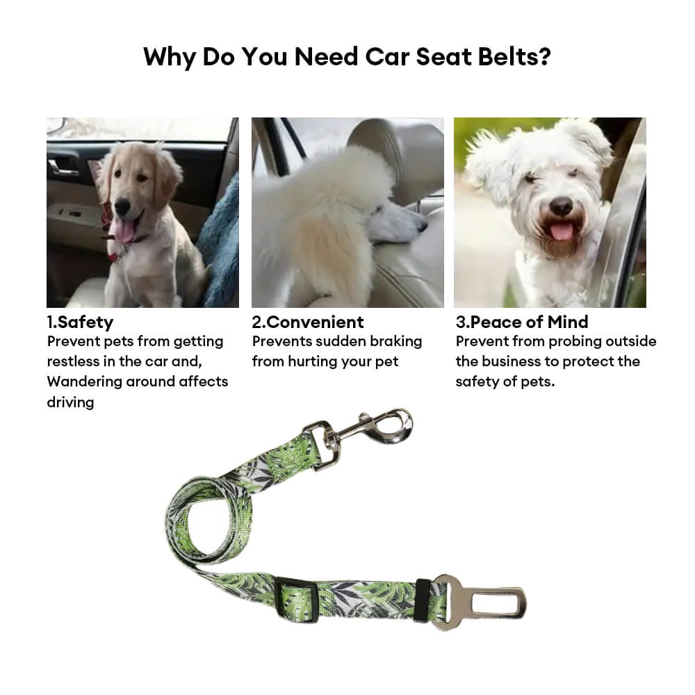 Laisse en nylon imprimé ajustable pour chien ceinture de sécurité pour voiture