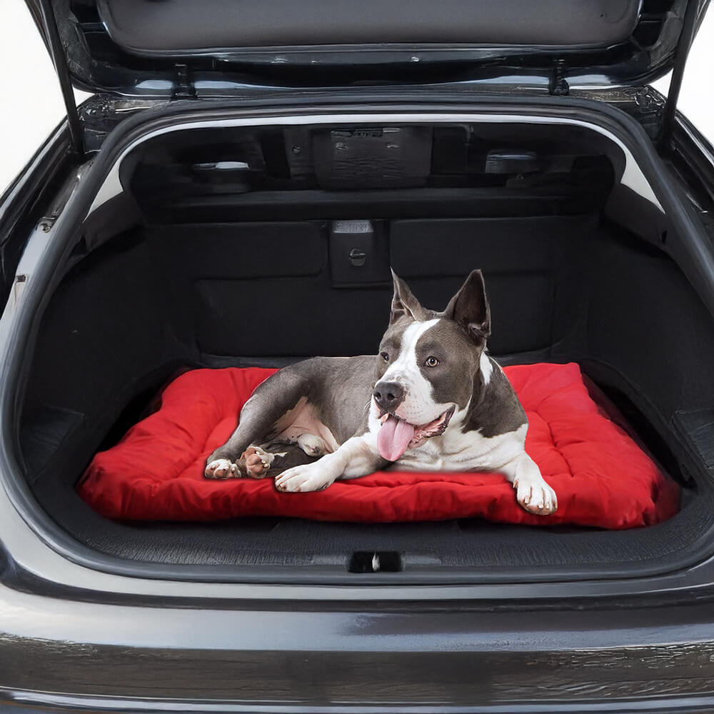 Tapis de voyage pliable et imperméable pour chien extérieur durable