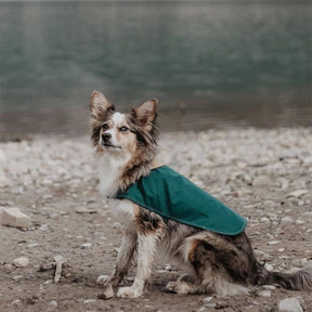 Manteau de pluie extérieur pour chien imperméable léger avec Velcro élégant