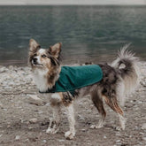 Manteau de pluie extérieur pour chien imperméable léger avec Velcro élégant