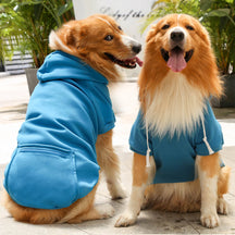 Pull à Capuche Uni pour Chien et Propriétaire en Coordination