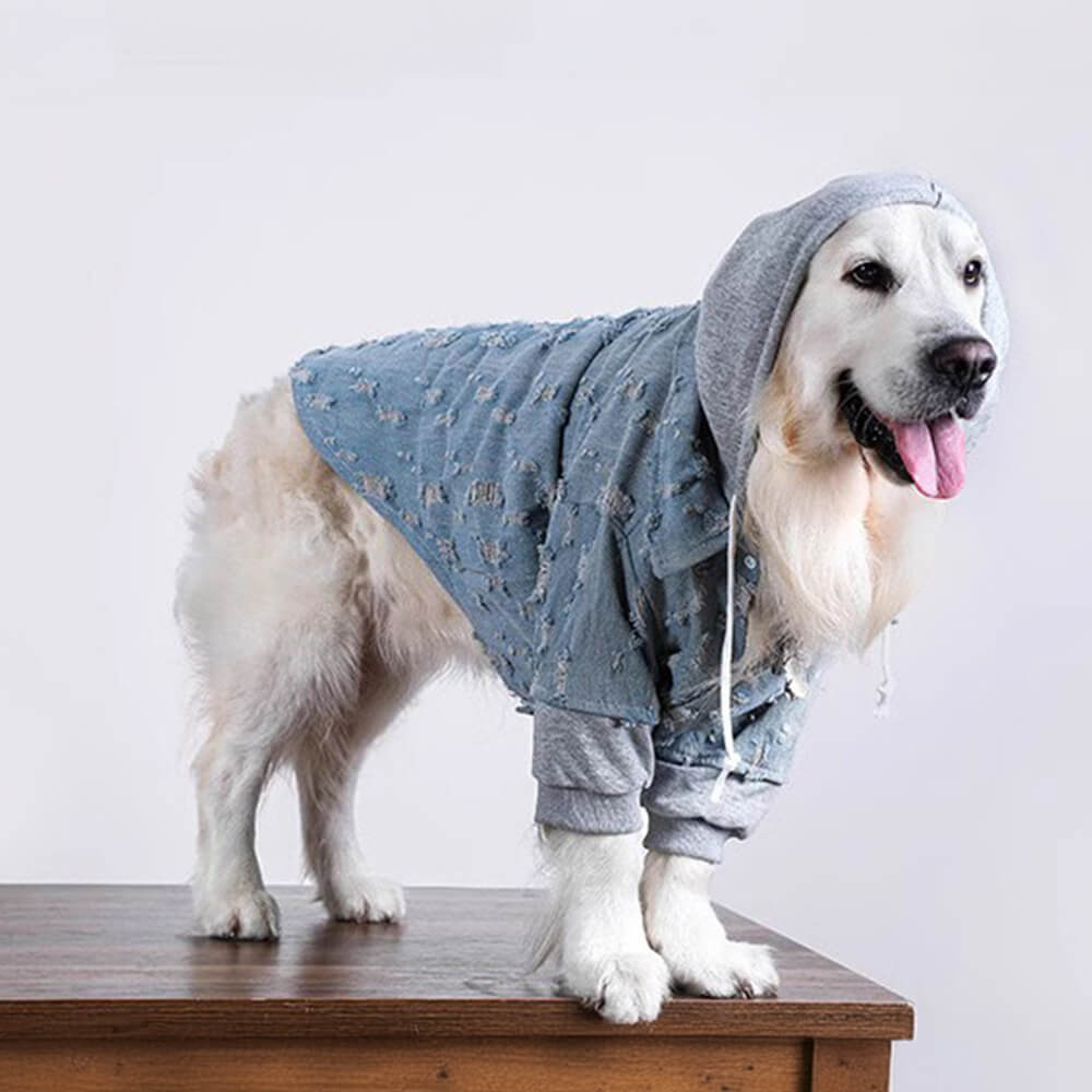 Veste à capuche en jean déchiré pour chien