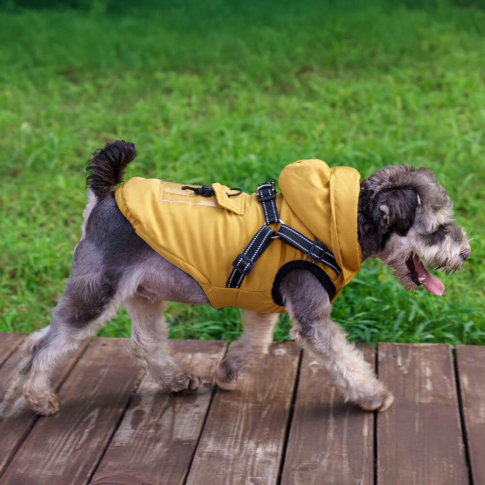 Veste harnais pour chien ajustable confortable et isolée avec capuche