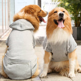 Pull à Capuche Uni pour Chien et Propriétaire en Coordination