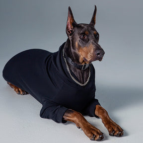 Pull à Capuche Uni pour Chien et Propriétaire en Coordination