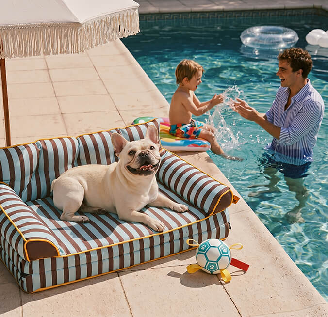Plaisirs aquatiques