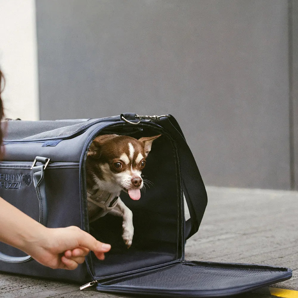 Transporteurs souples conformes aux règles des compagnies aériennes pour chiens et chat - Urban Roaming