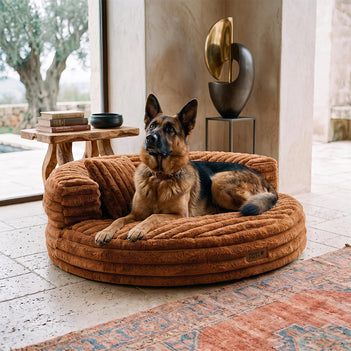 Lit orthopédique pour chien en peluche douce ultra-douce avec oreillers - Niche douillette avec donut amovible.