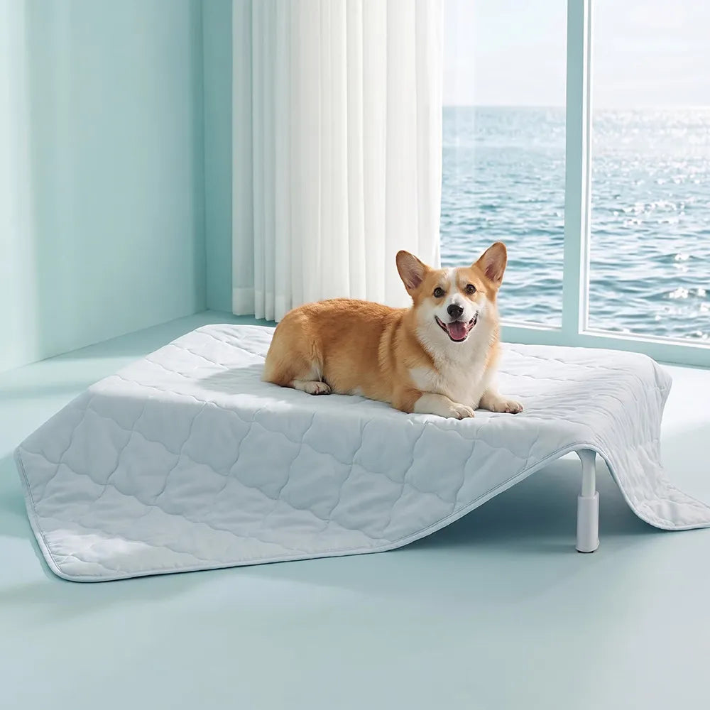 Couverture et Tapis rafraîchissant pour chien double face - Chill Nest