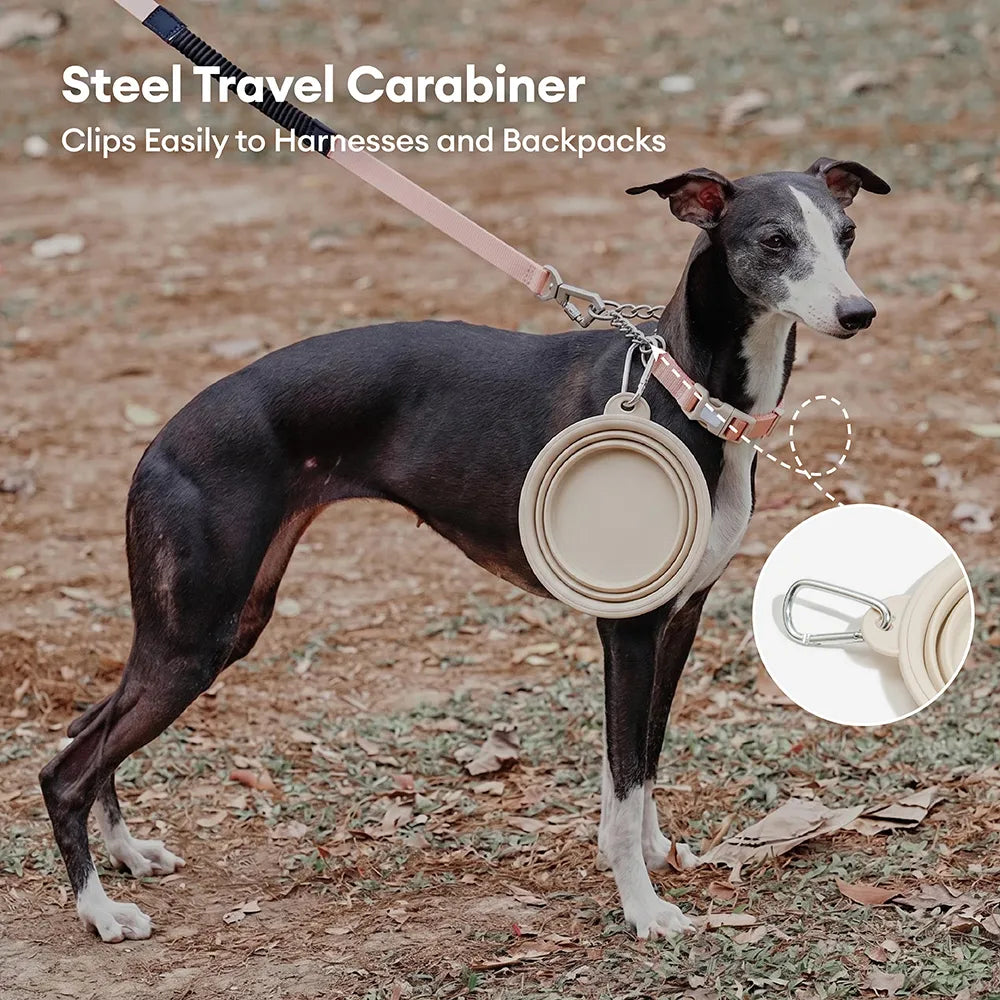 Bol en silicone pliable pour chien - Urban Roaming