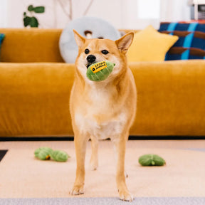 Jouet pour chien en peluche en forme de feuille avec couineur - Funnyfuzzy SnugNest
