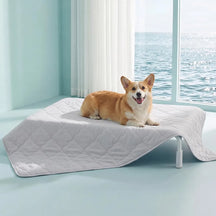 Couverture et Tapis rafraîchissant pour chien double face - Chill Nest
