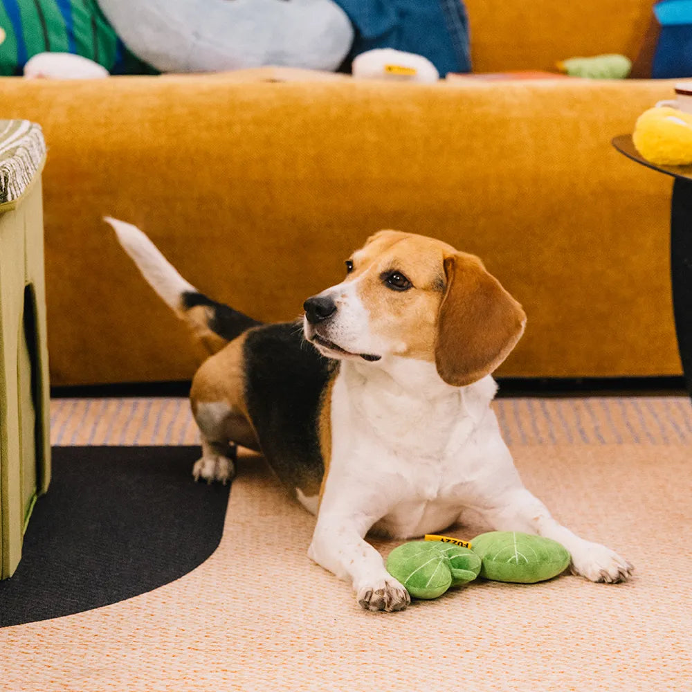 Jouet pour chien en peluche en forme de feuille avec couineur - Funnyfuzzy SnugNest