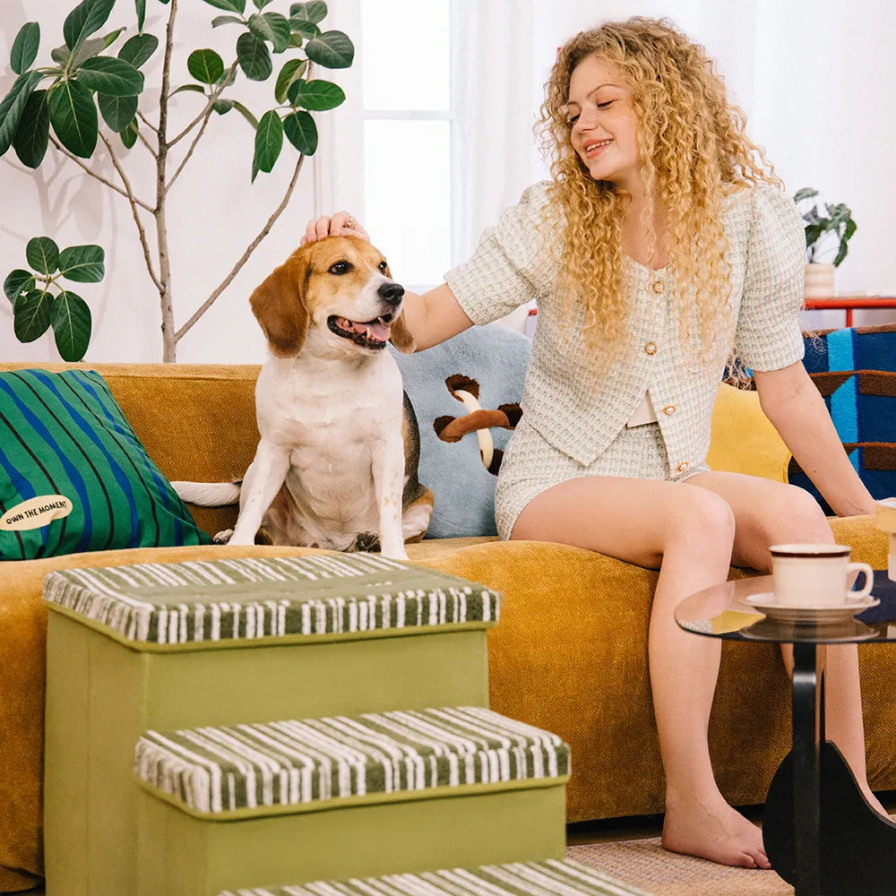 Escalier pour chien pliable avec rangement et condo - Funnyfuzzy SnugNest