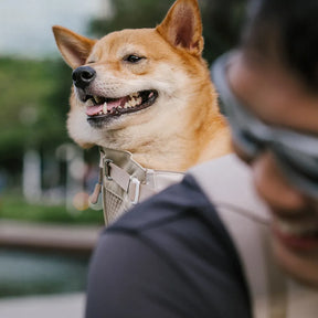 Sac à dos de transport pour chien - Urban Roaming