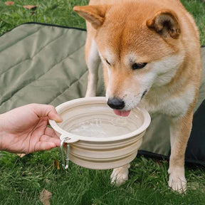 Bol en silicone pliable pour chien - Urban Roaming