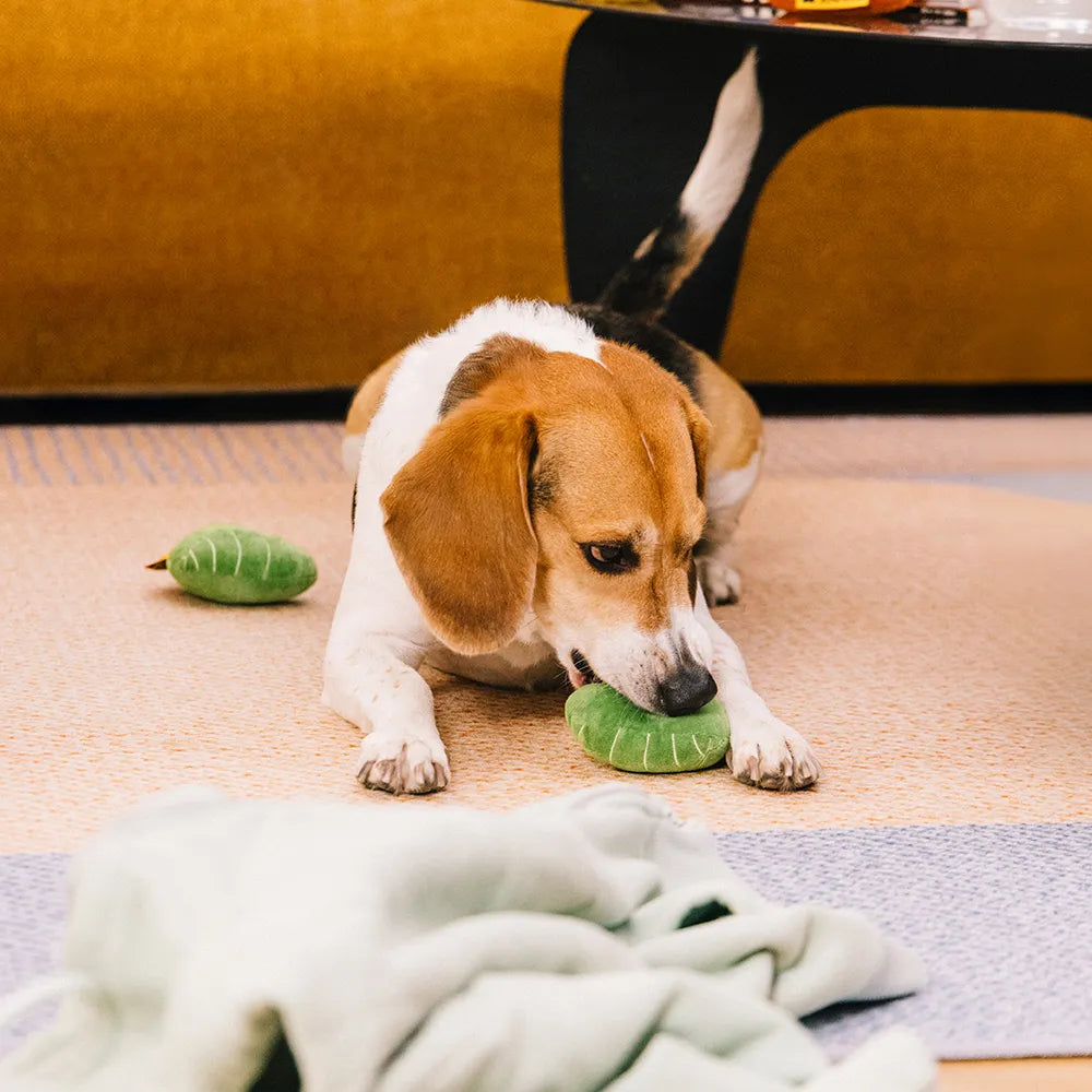 Jouet pour chien en peluche en forme de feuille avec couineur - Funnyfuzzy SnugNest