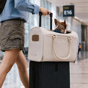 Transporteurs souples conformes aux règles des compagnies aériennes pour chiens et chat - Urban Roaming