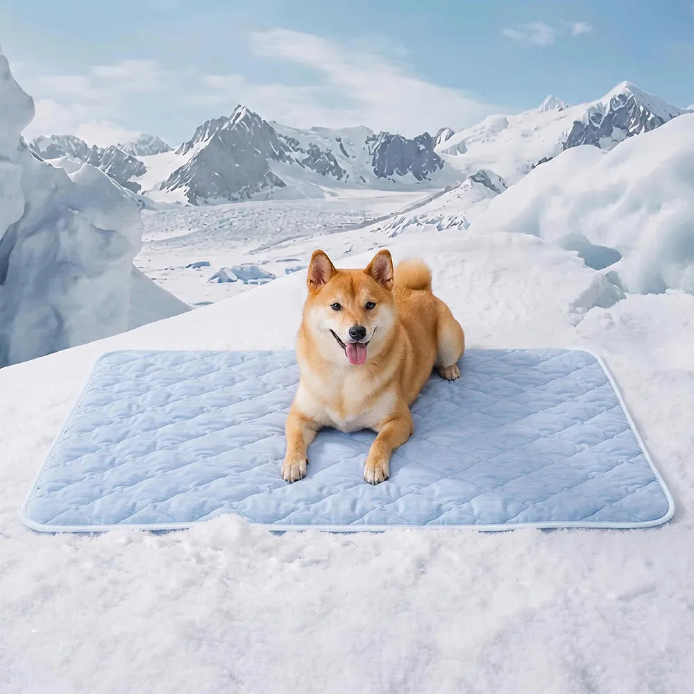 Couverture et Tapis rafraîchissant pour chien double face - Chill Nest