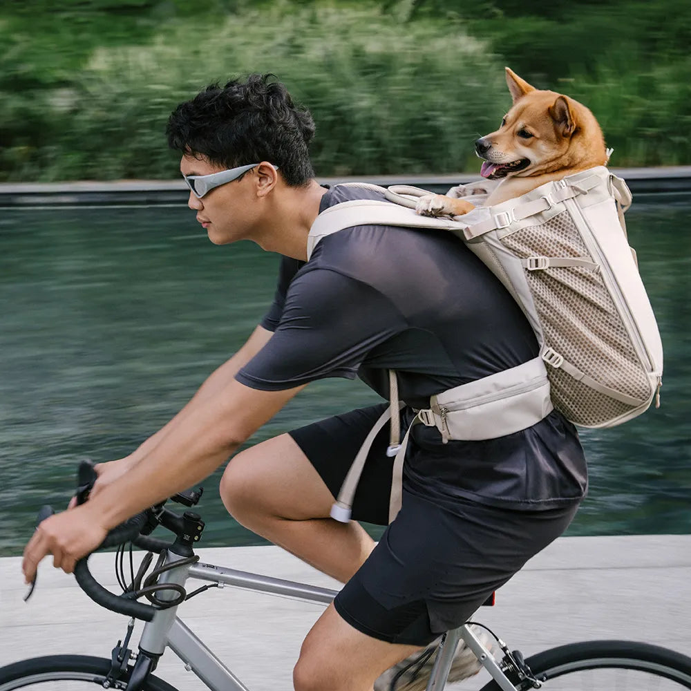 Sac à dos de transport pour chien - Urban Roaming