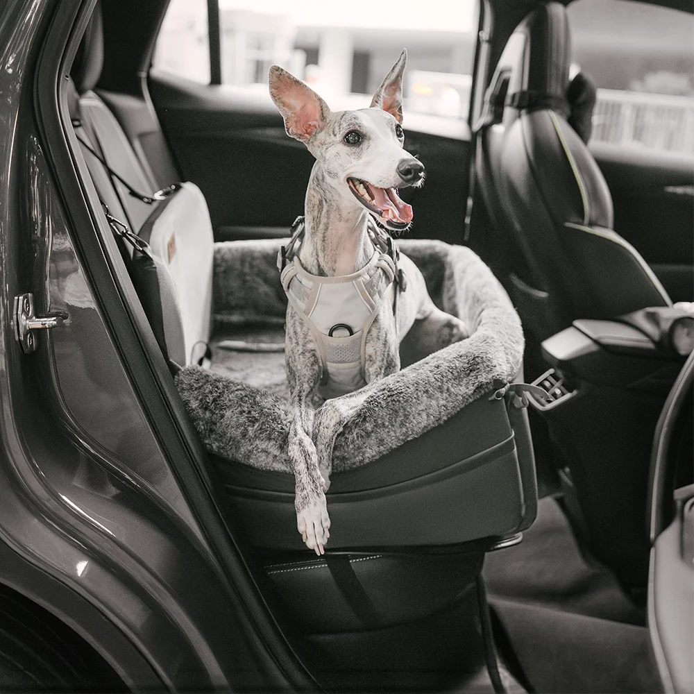 Literie de voiture pour chien avec coussin de sécurité tout au long de l'année - BaseCamp