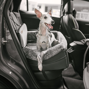 Literie de voiture pour chien avec coussin de sécurité tout au long de l'année - BaseCamp