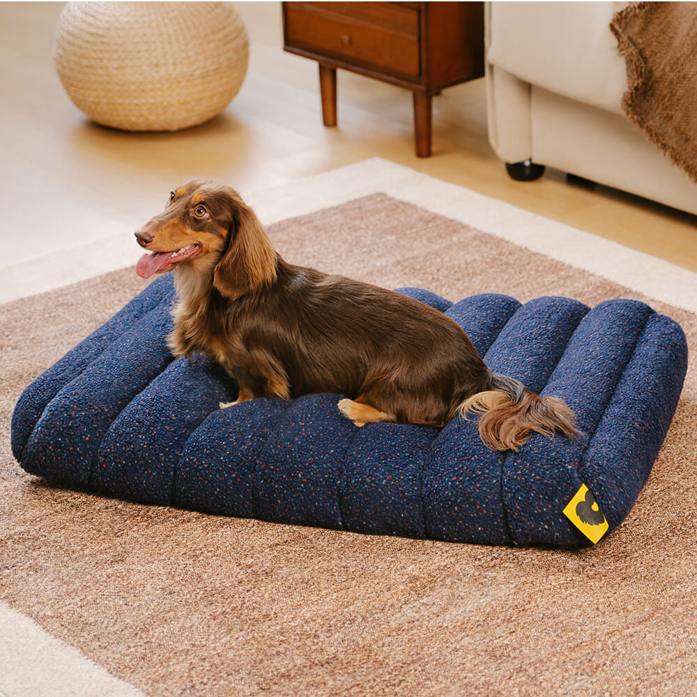 Grand Coussin Plat Lavable Crème Confortable pour Chien - Cheesecake