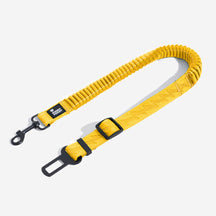 Ceinture de sécurité ajustable pour chien