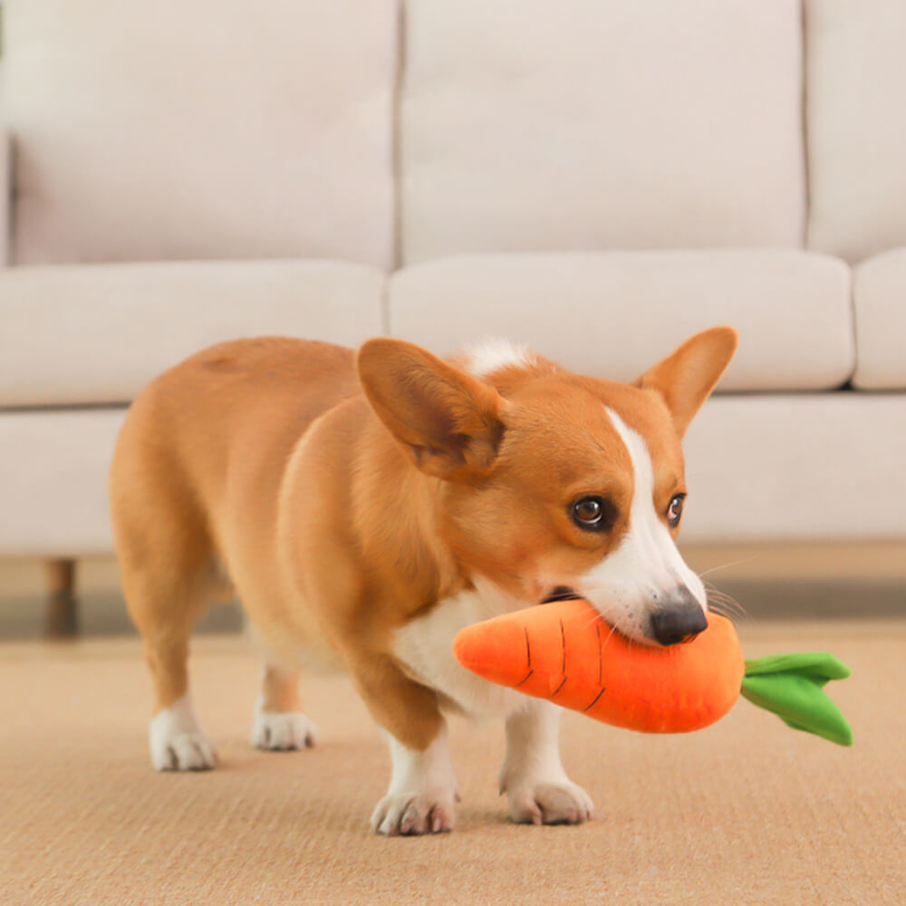 Pack de Tapis de Protection pour Chien à Carreaux Crème