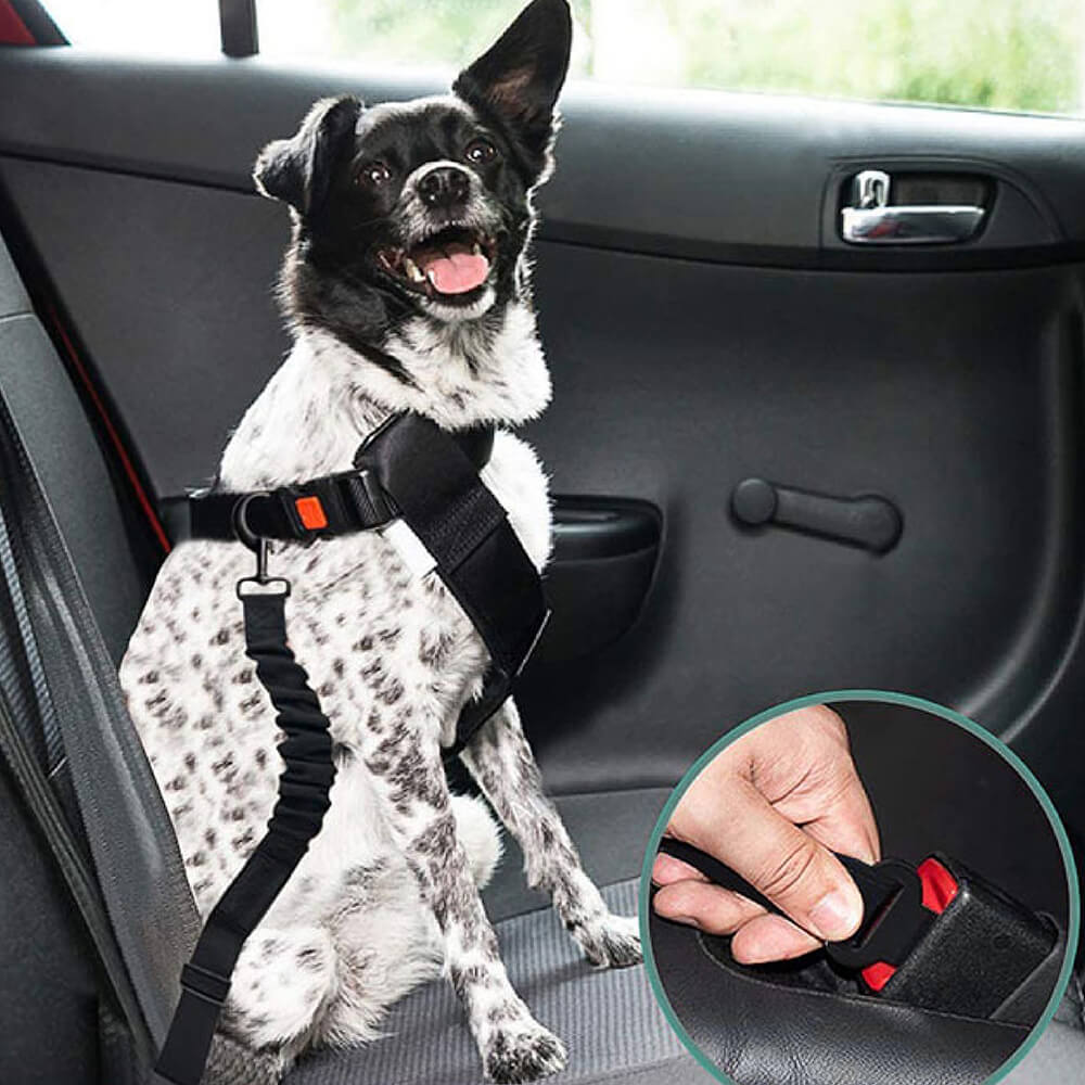 Pack de Siège Auto Portable pour Animaux de Compagnie Style Traversin