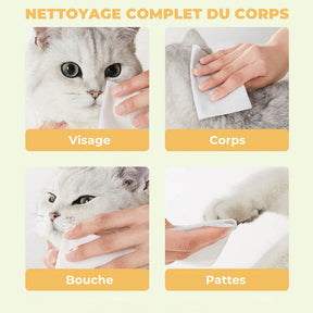 Pack de Siège Auto Portable pour Animaux de Compagnie Style Traversin