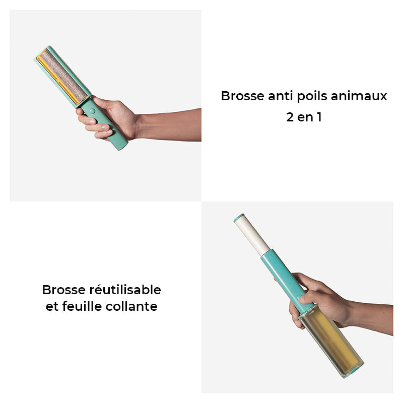 Pack de Canapé-lit Orthopédique Doux Lavable et Moelleux pour Chien - Rêve Douillet