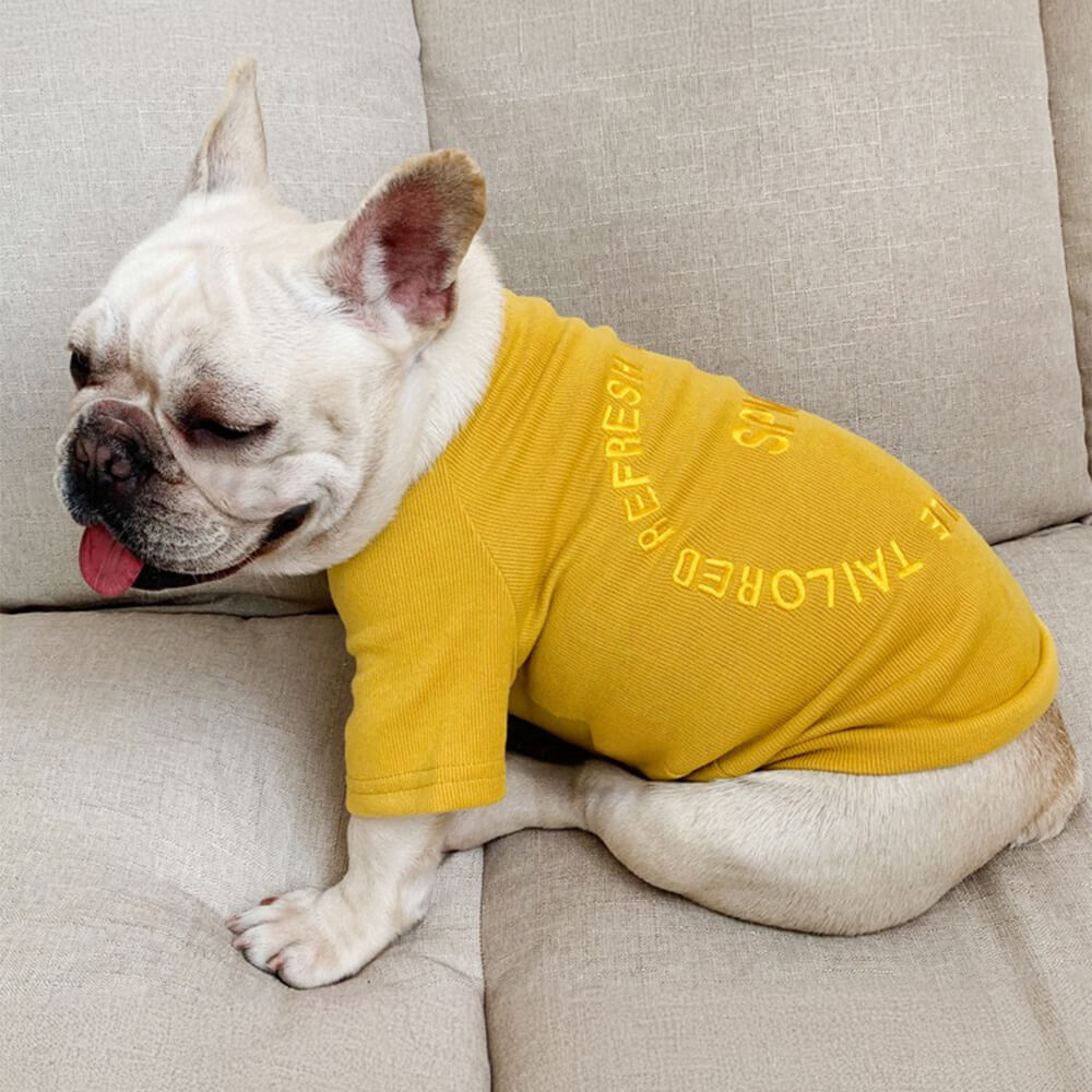 Pull à Manches Longues Brodé Élégant Vêtements Assortis pour Animaux et Propriétaires