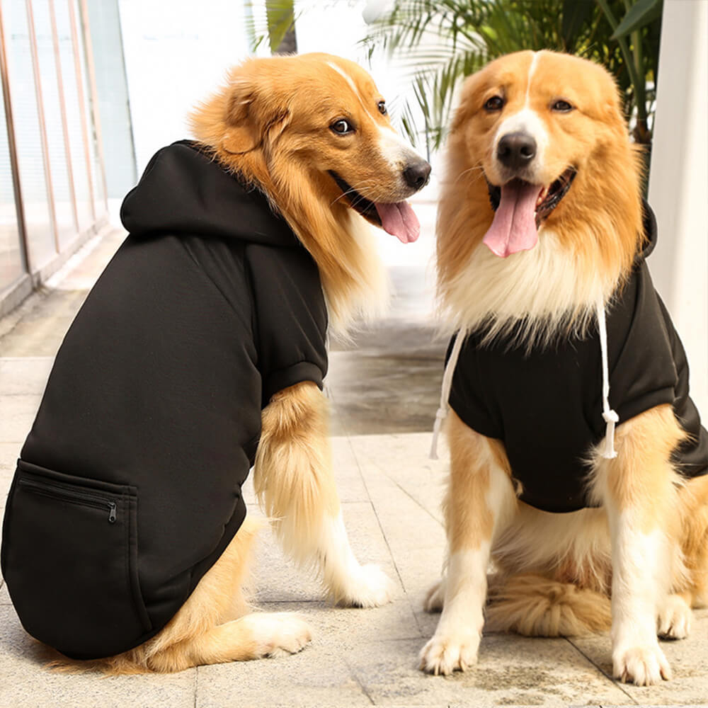 Pull à Capuche Uni pour Chien et Propriétaire en Coordination