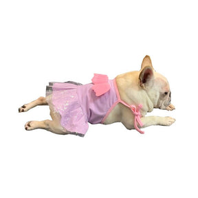 Robe pour Chien avec Ailes d'Ange Adorables - Idéale pour les Occasions Spéciales