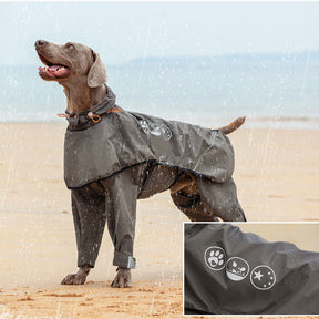 Imperméable pour chien à quatre pattes avec capuche à motif réfléchissant