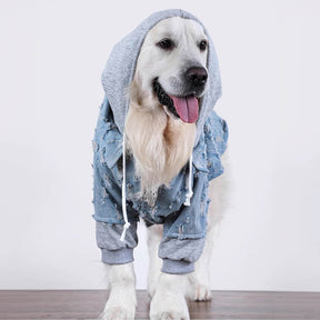 Veste à capuche en jean déchiré pour chien