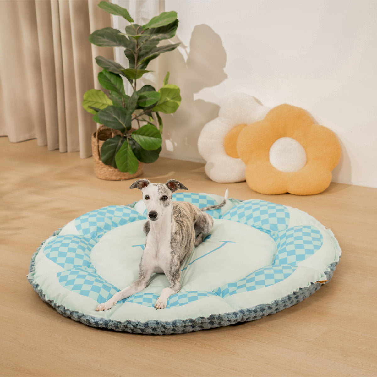 Matelas rond réversible pour chien à double face avec fonction refroidissante