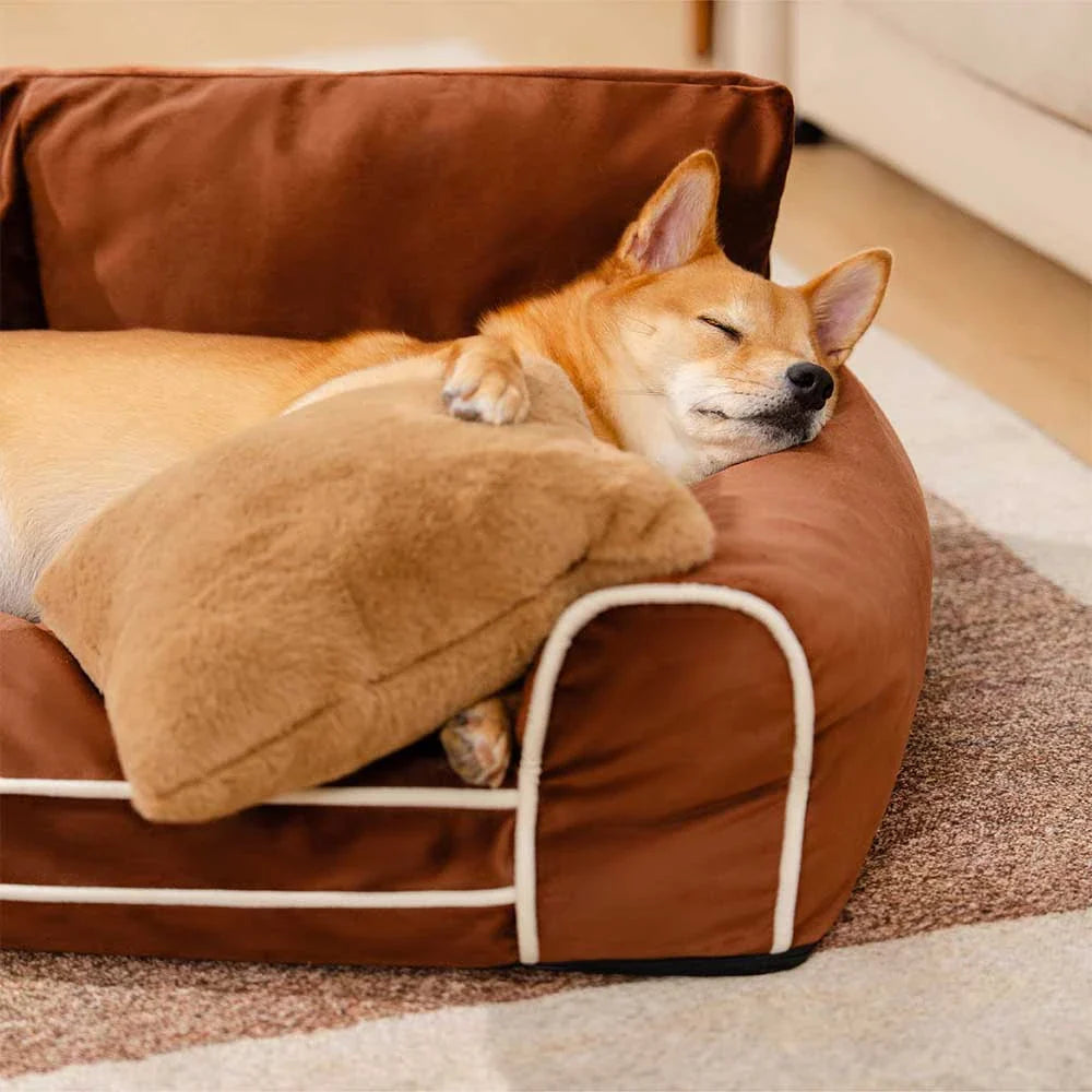 Lit chien orthopédique velours de soie deluxe coussin amovible - RegalRest