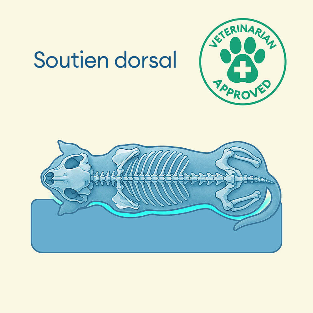 Lit orthopédique pour grand chien imperméable et soutien