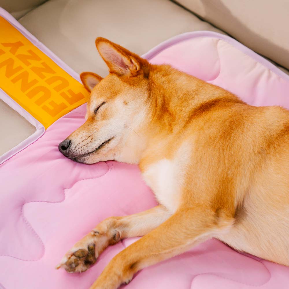 Chill Tapis Rafraîchissant pour Chien Lavable Ice Cream