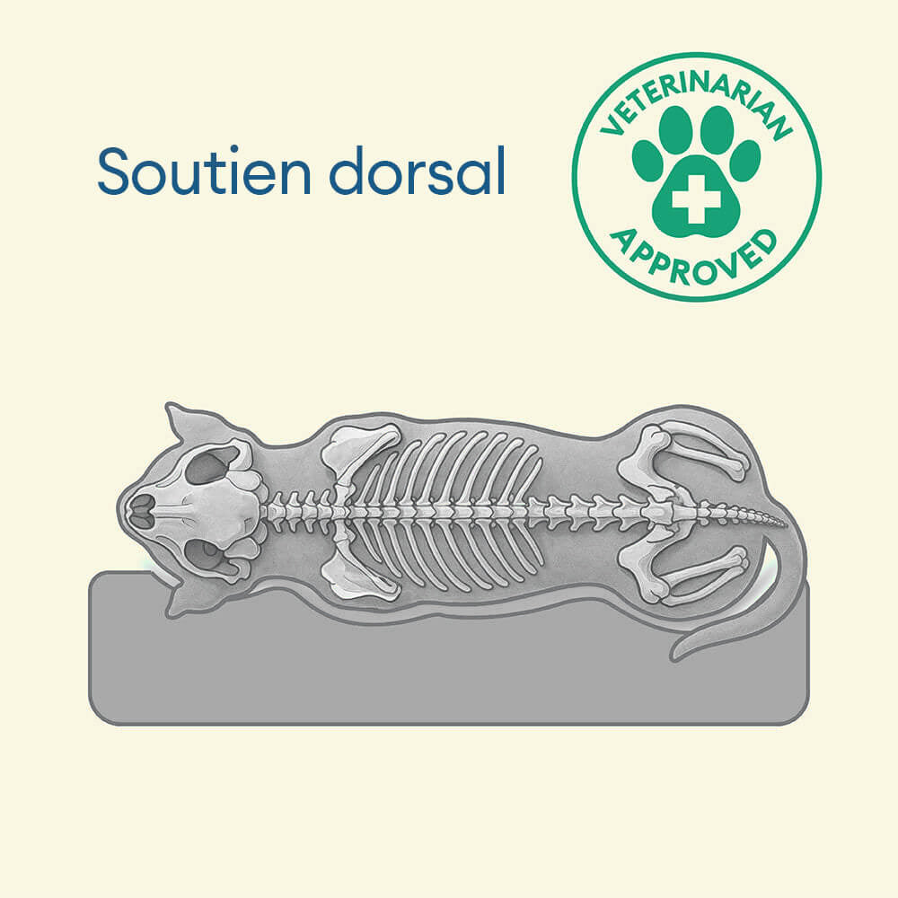 Lit orthopédique pour grand chien imperméable et soutien