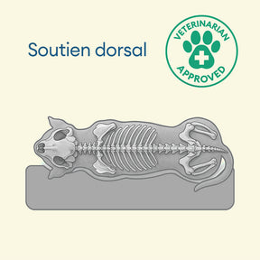 Lit orthopédique pour grand chien imperméable et soutien